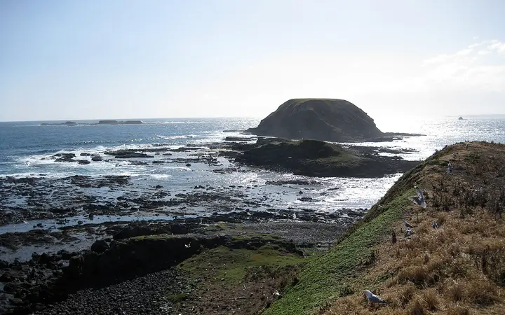 The Nobbies, looking towards Seal Rocks