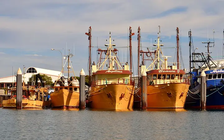 Port Lincoln Marina, where the charters check in