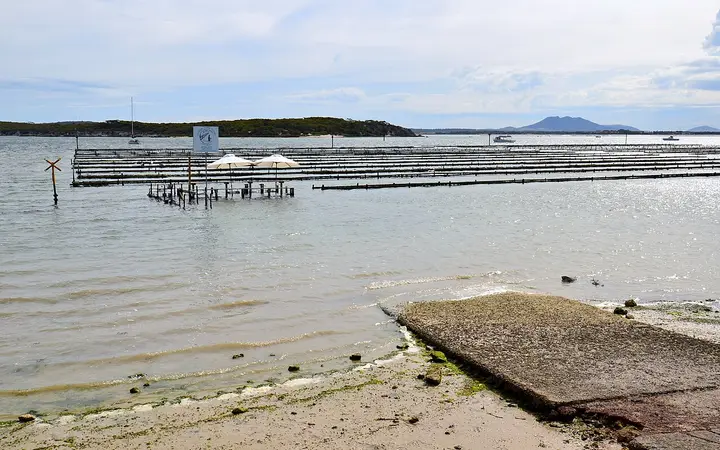 Oyster leases at Coffin Bay