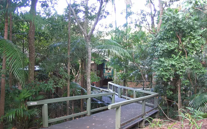 The boardwalk into Sea Acres rainforest
