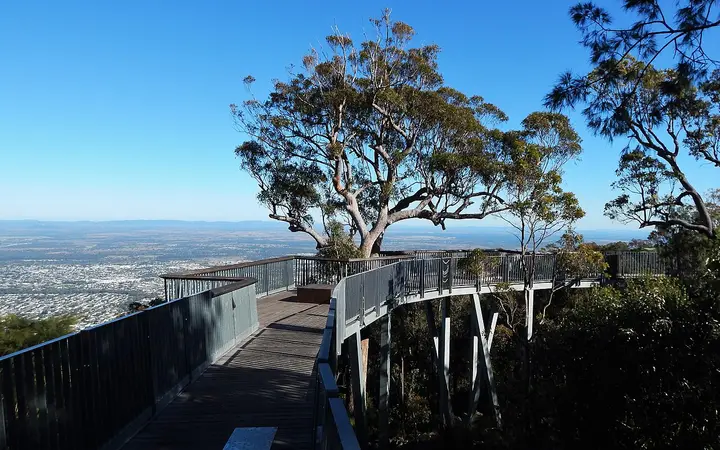 The Nurim boardwalk on Mount Archer