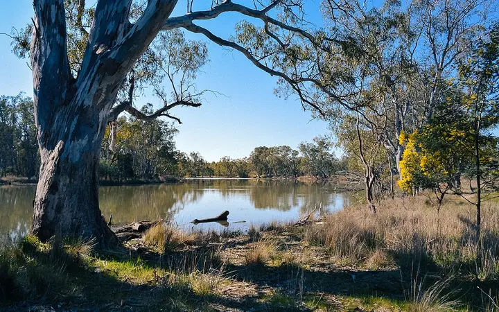 The billabong at Tahbilk