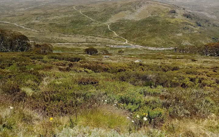 The summit track rising from the Snowy River near Charlotte Pass
