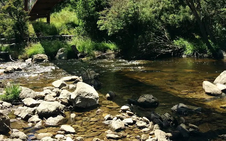 A Thredbo Valley track bridge over the Thredbo River