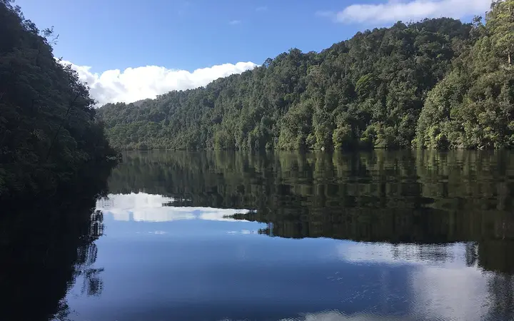 The Gordon River