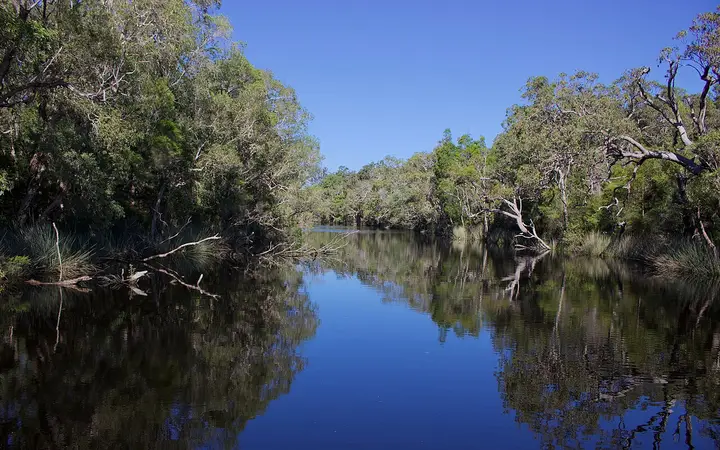 A mirror-calm channel in the Noosa Everglades