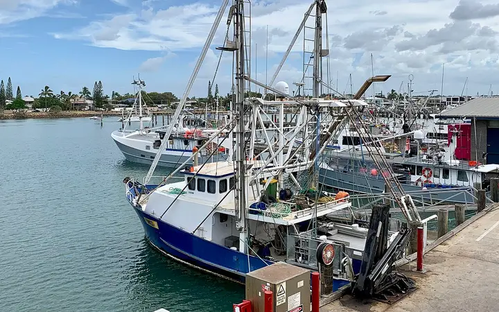 The fishing fleet in Mooloolaba harbour, on the cruise route