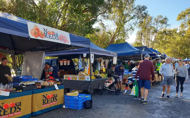 Stalls under the gums at the Noosa Farmers Market