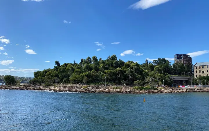 Barangaroo Reserve's sandstone foreshore