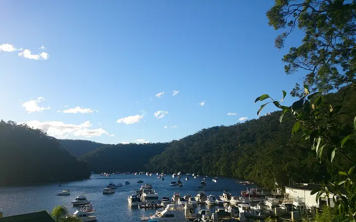 Berowra Waters, framed by national park bush