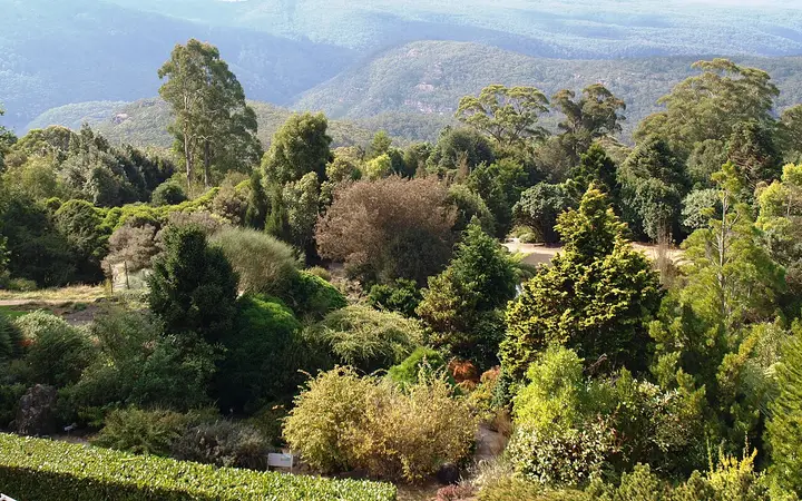The garden at Mount Tomah and the World Heritage ranges beyond