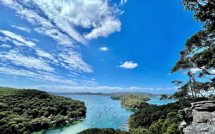 Pittwater's bays near Lovett Bay, on the ferry's route