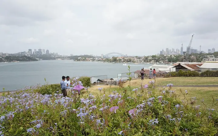 The hill on Cockatoo Island, looking back at the Harbour Bridge