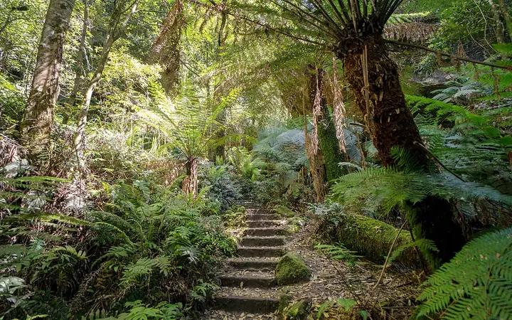 The Grand Canyon track, Blackheath