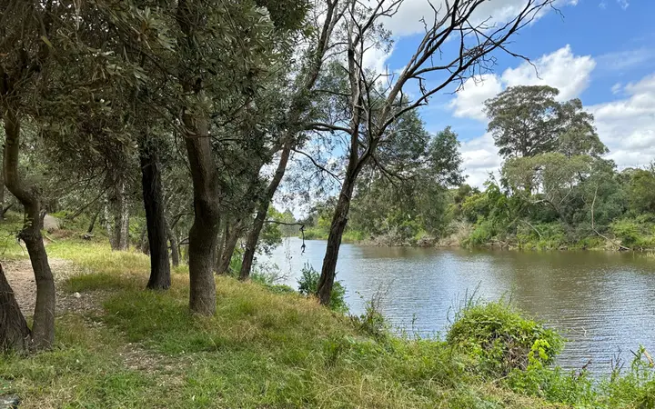 The Georges River in the parklands beside the Powerhouse
