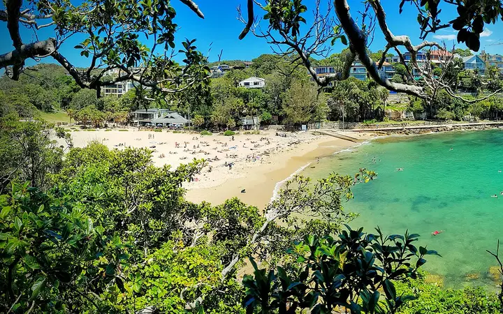 Shelly Beach and Cabbage Tree Bay