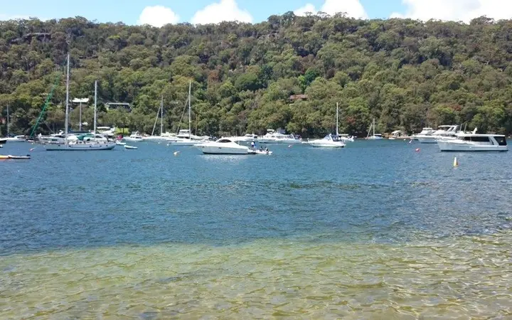Clear water at The Basin, Pittwater