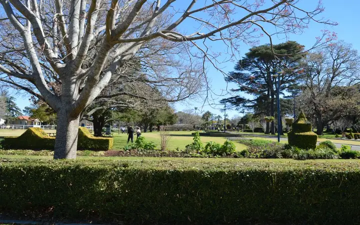 Topiary and old trees in Laurel Bank Park