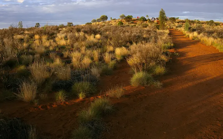 Red dunes at Yulara in the evening light