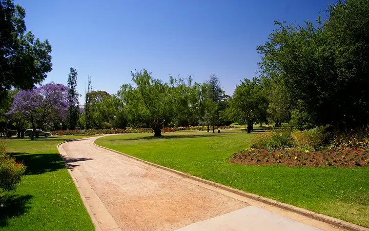 Lawns and a jacaranda in the Wagga Wagga Botanic Gardens