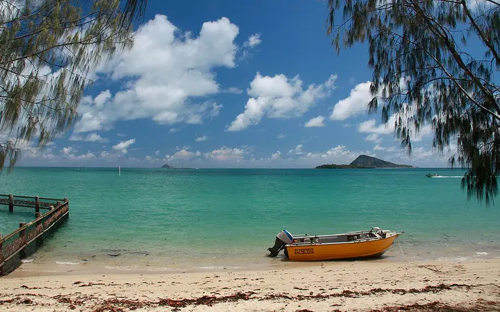 Dingo Beach, in front of the pub