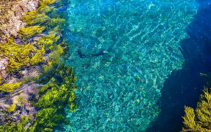Clear water in Bushrangers Bay Aquatic Reserve