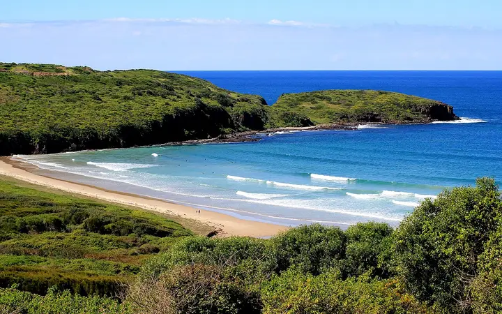The coast at Killalea State Park