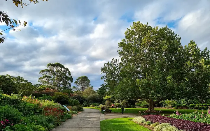 Lawns in the Wollongong Botanic Garden