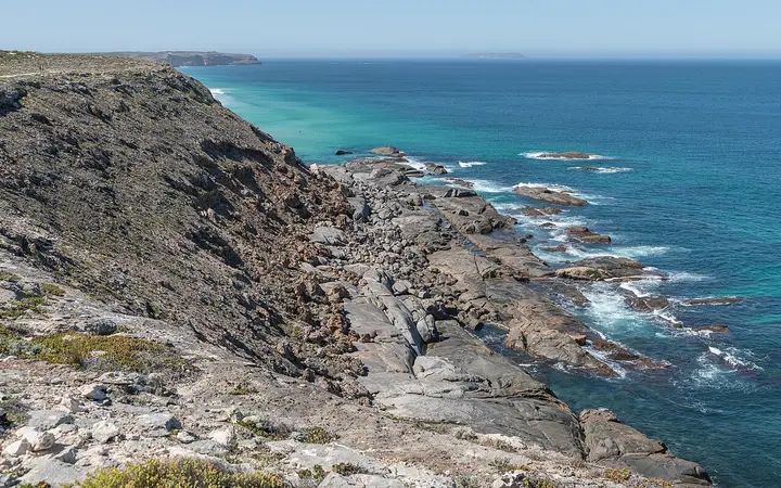 The coast beside the West Cape loop