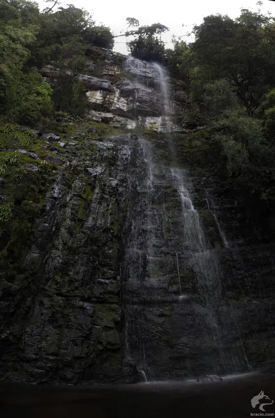 Adamsons Falls