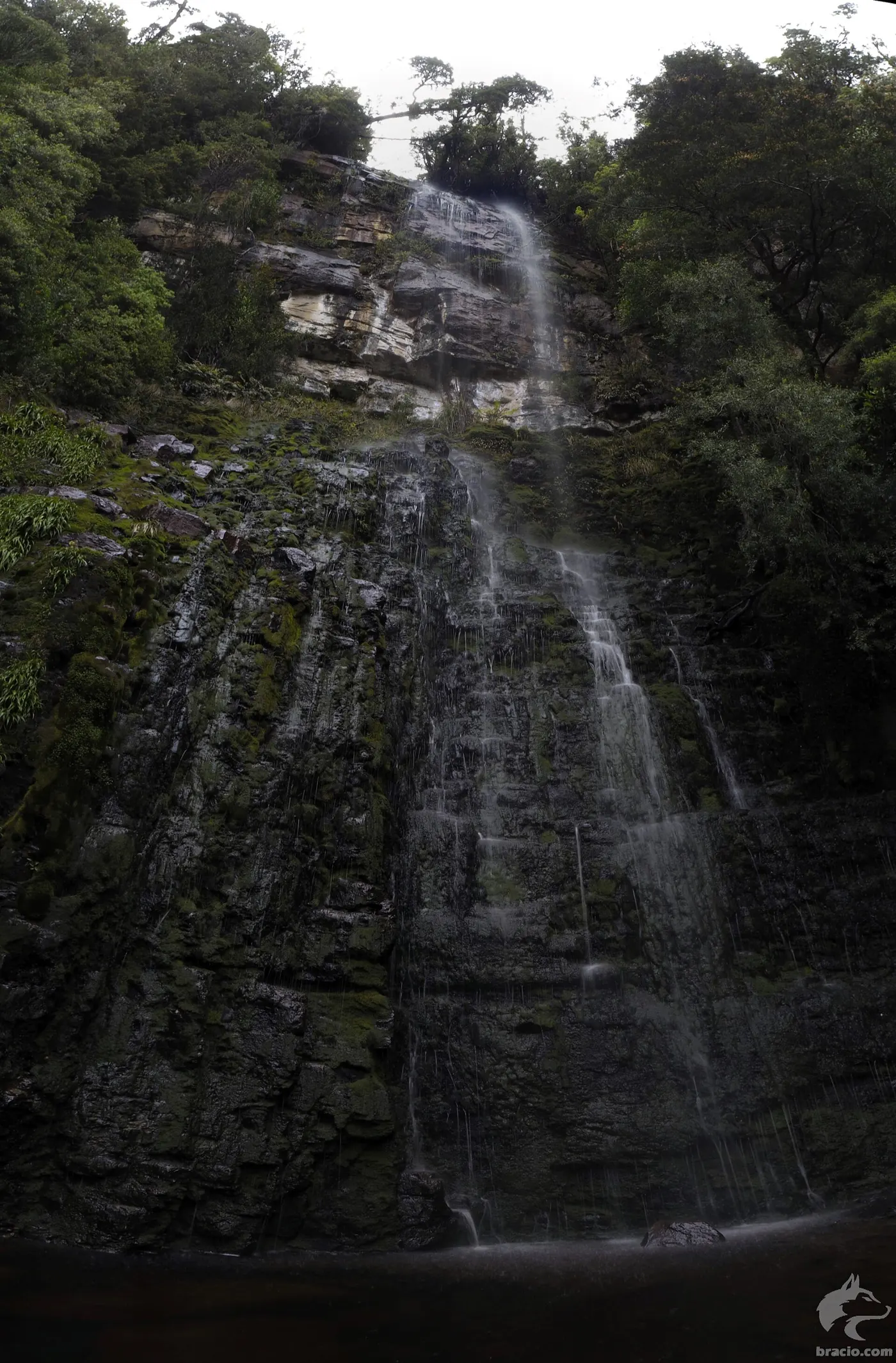 Adamsons Falls