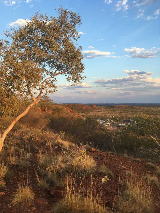 Bill Allen Lookout