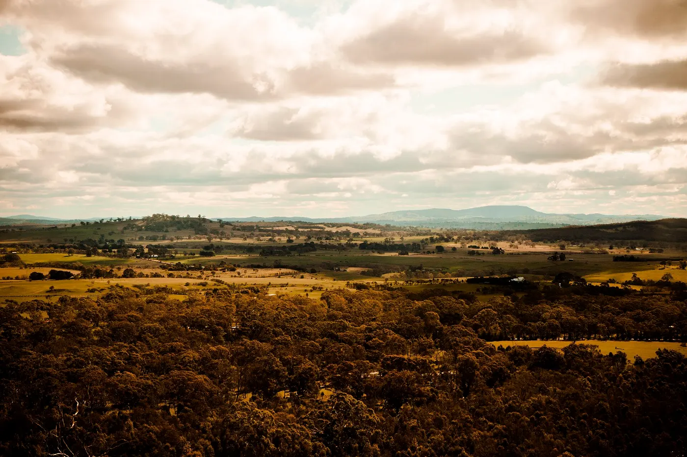 Black Hill Lookout