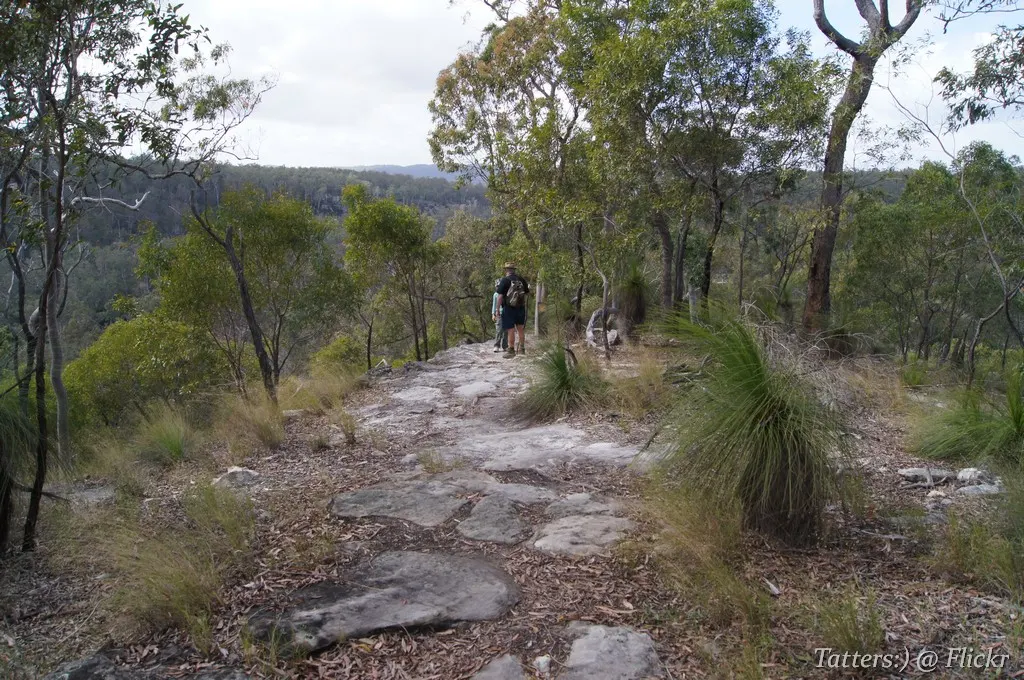 Giants Chair Lookout/Fern Tree Pool circuit
