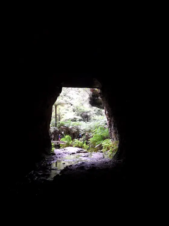 Glow Worm Tunnel walking track