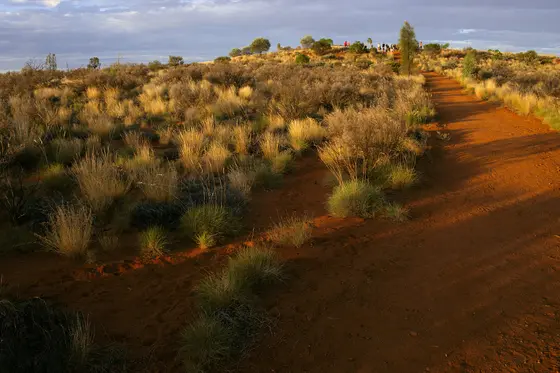 Imalung Lookout