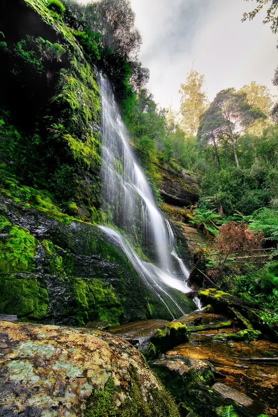 Marriotts Falls
