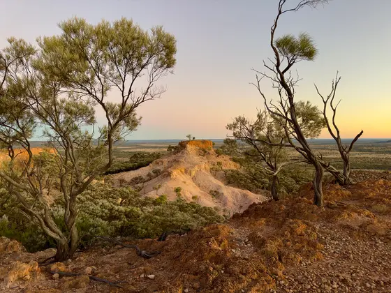 Mount Slowcombe Lookout