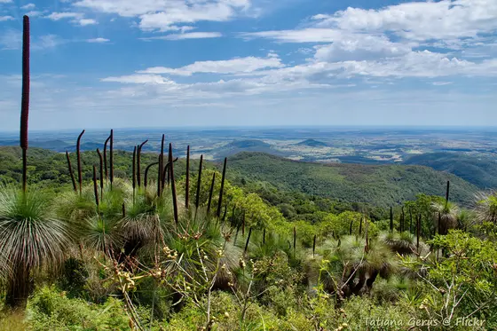 Mt Kiangarow Lookout