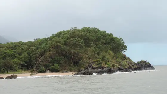 Palm Cove Jetty Lookout