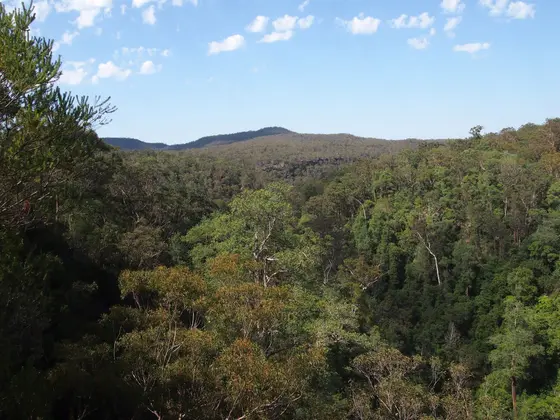Piles Creek Lookout