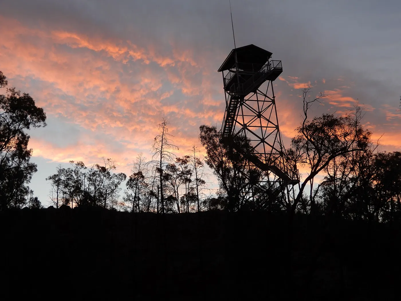 Pilliga Forest Lookout Tower