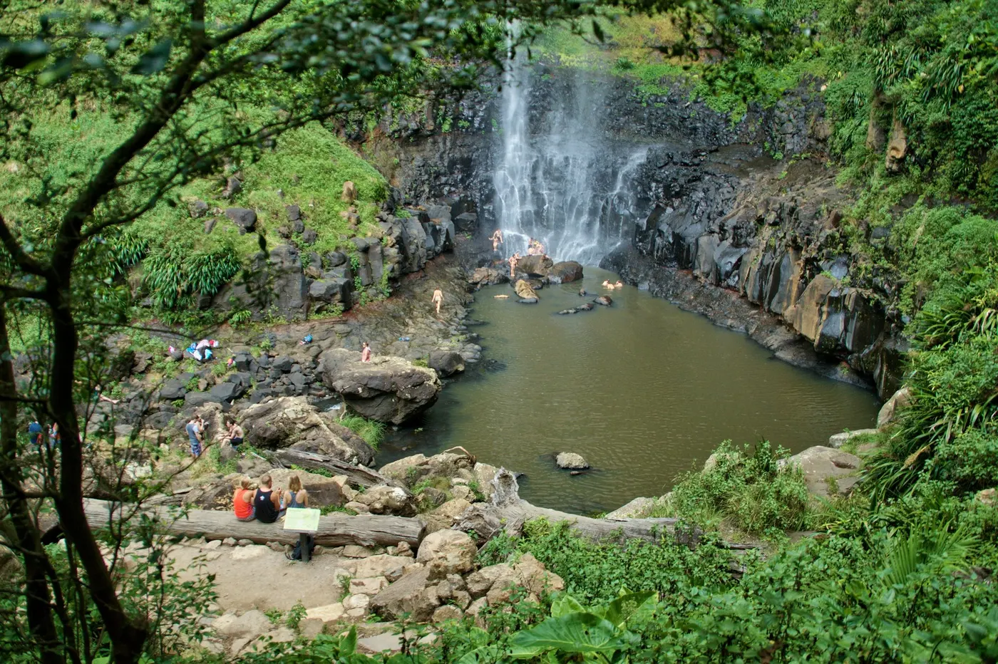 Purling Brook Falls Lookout