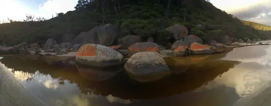 Tidal Overlook