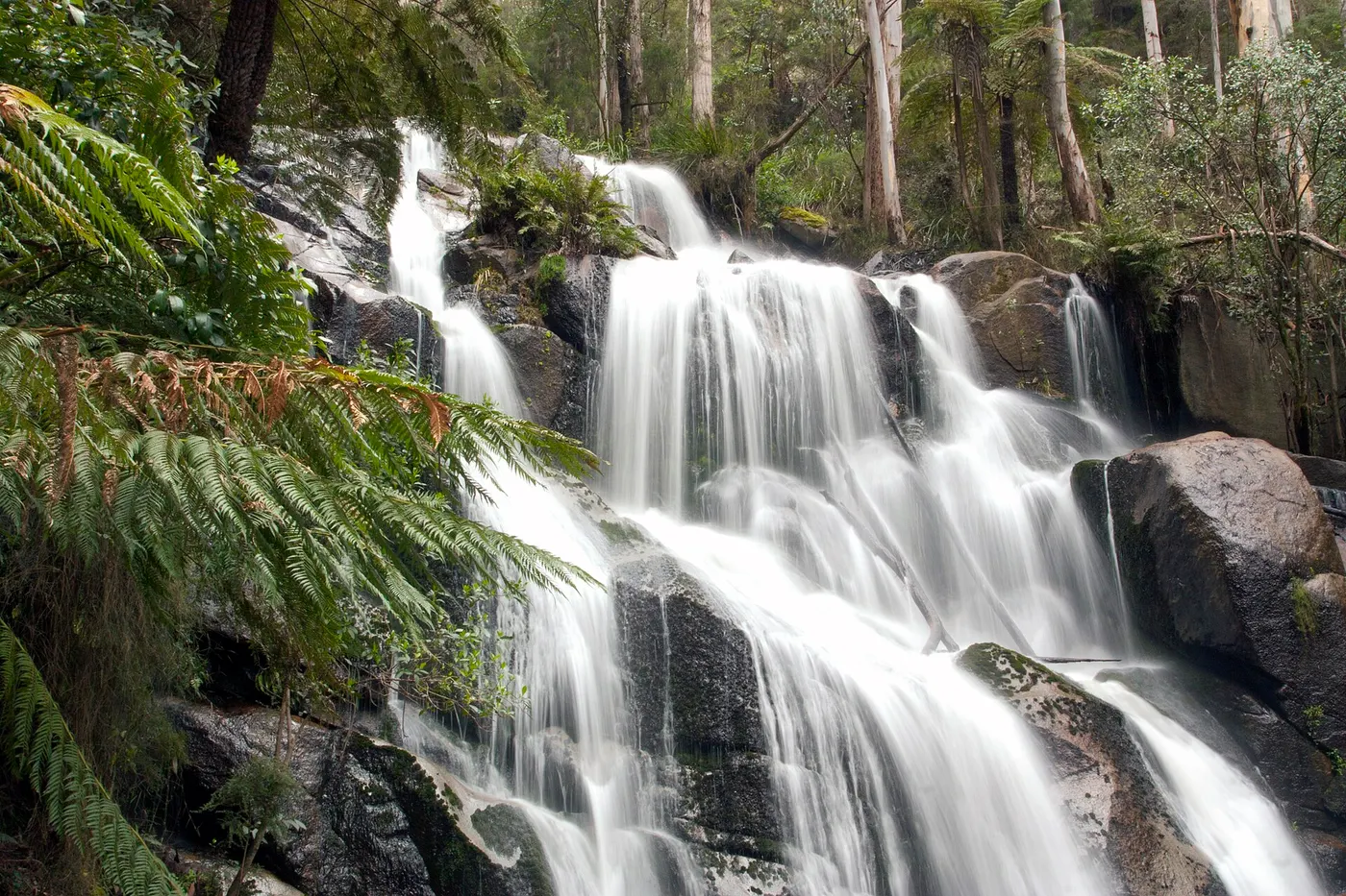 Toorongo Falls