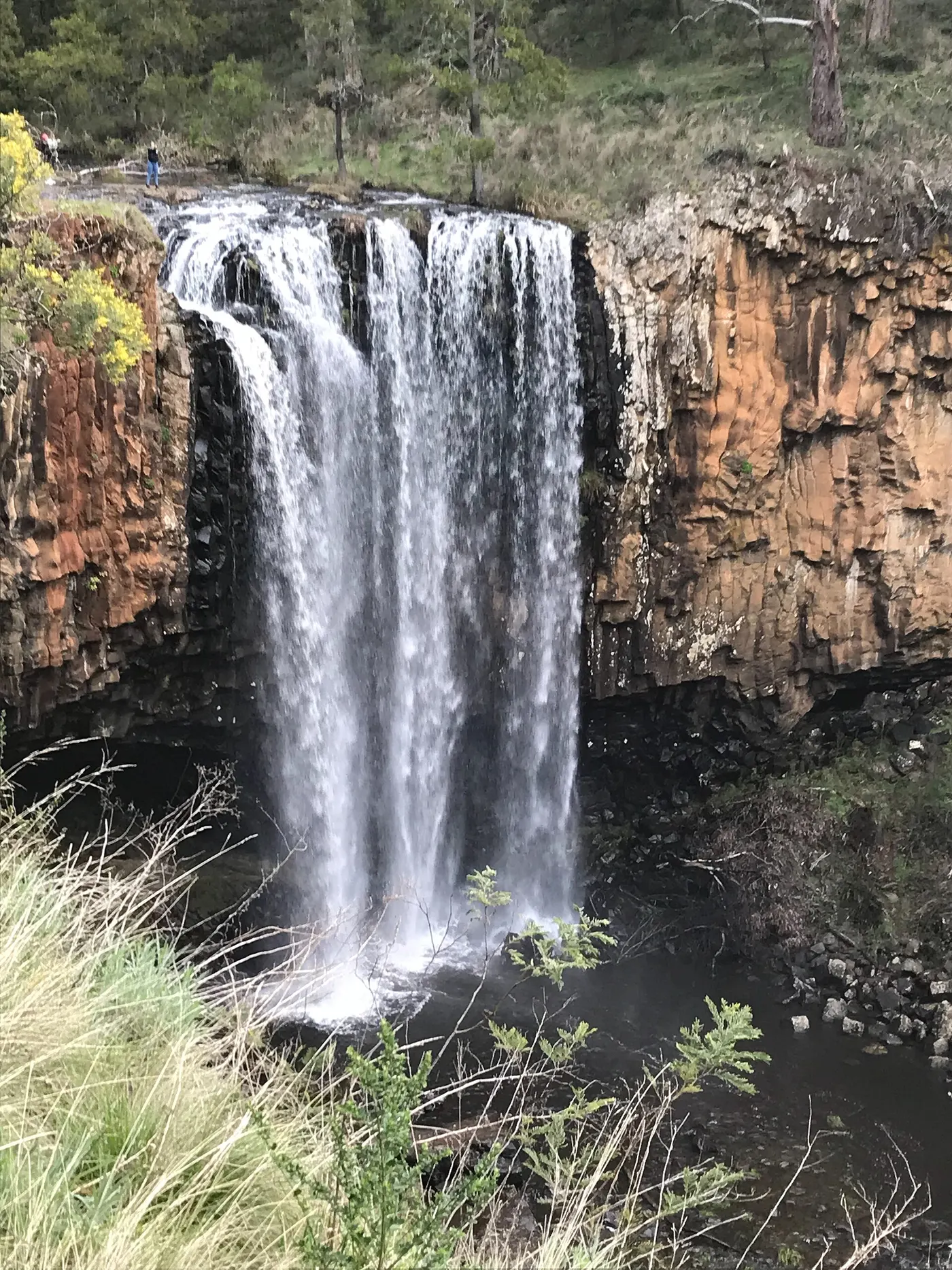 Trentham Falls
