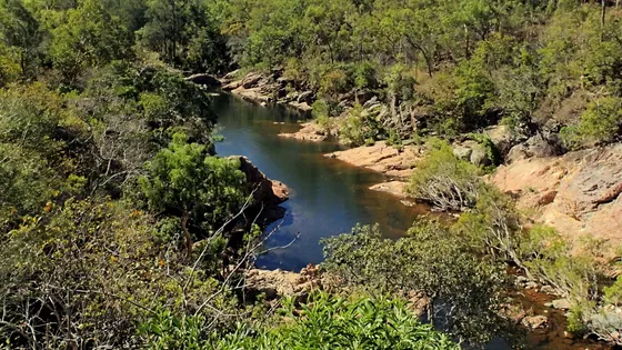 Alligator Creek Lookout