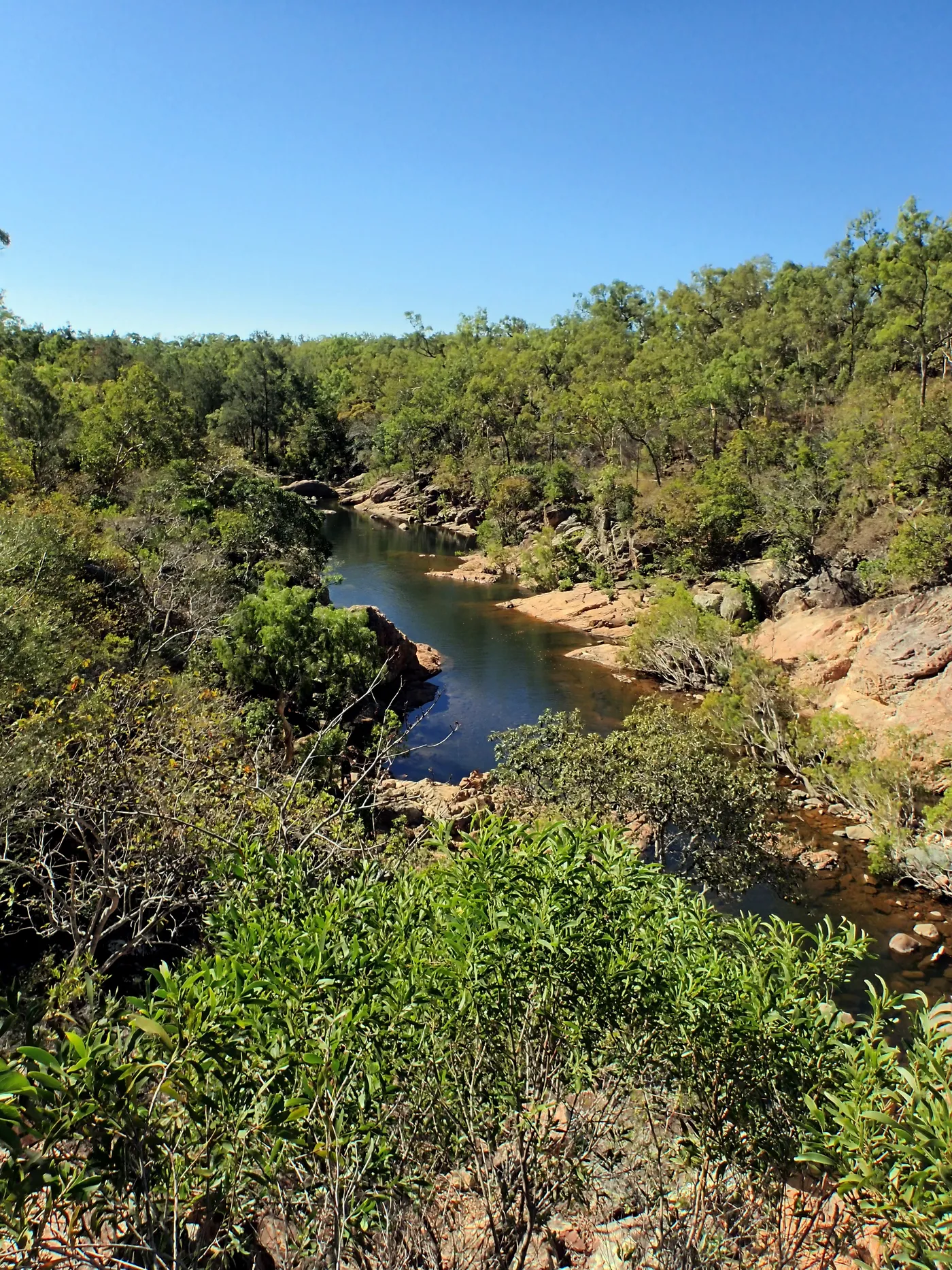Alligator Creek Lookout