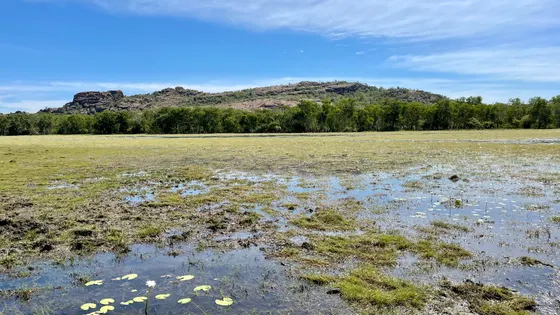 Anbangbang Billabong walk