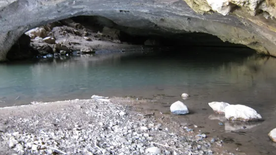 Arch Cave, Borenore